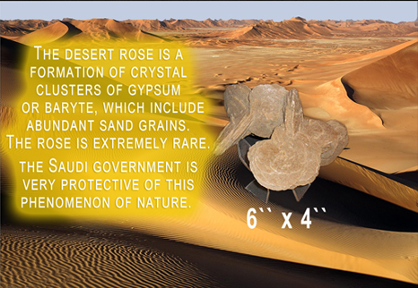 Desert_Rose